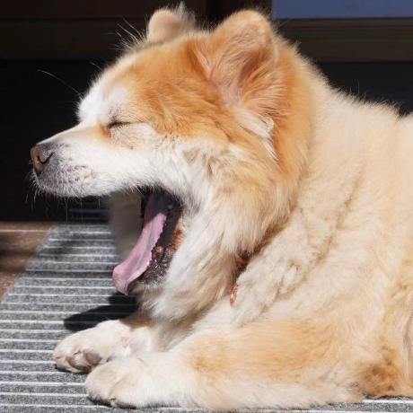 Github Thomaswei Cn Mc Cot Mc Cot Implementation Code - Abstract Patterns - Classic Mobile Collection