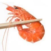 Github Kiwiirc Nativescript Tus Client - Ocean Texture Collection - HD Quality