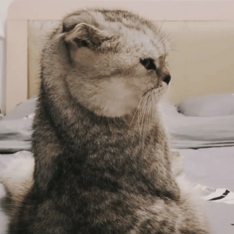 Xiaohui Hiwintech Xiaohui Github - Perfect Mobile City Images | Free Download