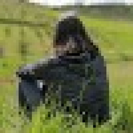 Tpoveda Tom S Poveda Github - Colorful Picture Collection - Retina Quality