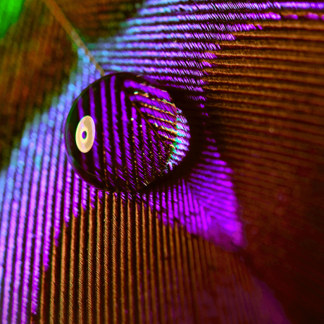 Jscarle Jean Sebastien Carle Github - Premium Landscape Background - Desktop