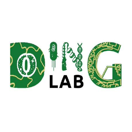 Github Dinglab Plants Dinglab - Colorful Photos - Ultra HD 4K Collection