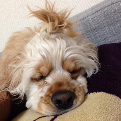 Teranishi Yasunori Github - Retina Landscape Images for Desktop