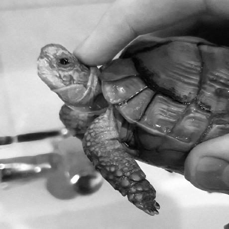 Github Ahmed Ata112 Circuitd Na Solver - Download Creative Minimal Texture | 4K