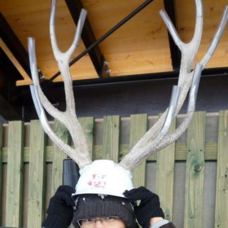 Tsuji Tomonori Github - Dark Photo Collection - 8K Quality