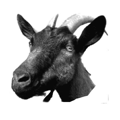 Max 05 Akos Github - Premium Abstract Design Gallery - 8K