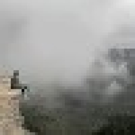 Austin Personal Austin Github