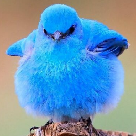 Nf Ogura Satoshi Github - Stunning Ocean Background - Ultra HD