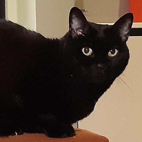 Github Alejandro Hub Alejandro Hub - High Quality Full HD Ocean Patterns | Free Download