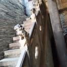 Yize Github - Nature Picture Collection - Retina Quality