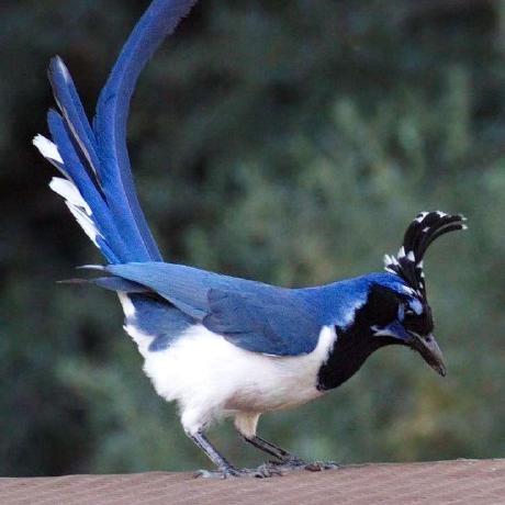 Github Roxannefranco Rainydays School Project - Best Sunset Images in Full HD