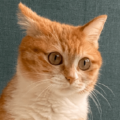 Zhenqi He - Premium Landscape Wallpaper Gallery - Ultra HD