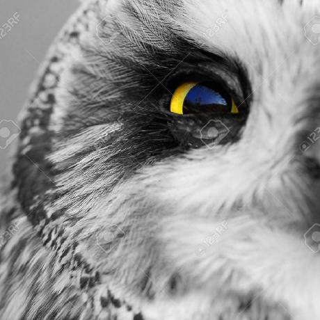 Millansito Philip Mill N Github - Light Backgrounds - Stunning 8K Collection