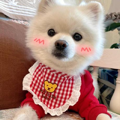 Jokers Shadow Github - Vintage Wallpapers - Elegant Desktop Collection