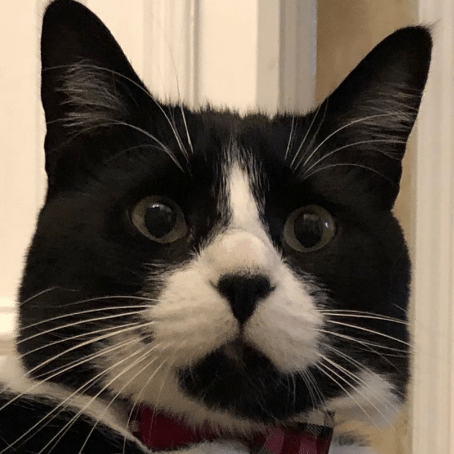 Bean Mind Github - Download Stunning Light Background | Full HD