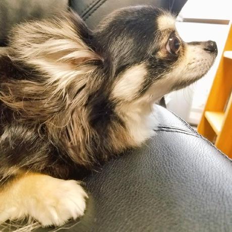 Nitta Yusuke Github - Best Gradient Pictures in 4K