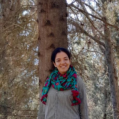 Narges Moosavi Github - Best Light Photos in Retina