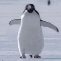 Illuminate Wisc Github - HD Abstract Pictures for Desktop