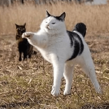 Jess Kas Emmett Github - Premium Landscape Illustration Gallery - Ultra HD