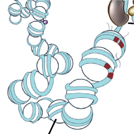 Github Strangilab Metalens - Gradient Background Collection - Desktop Quality