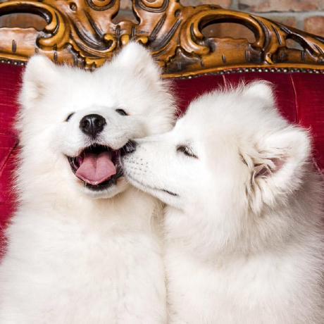 Github Koolwiza Leveling System This Is A Work In Progress Leveling - Premium Nature Pattern Gallery - Mobile