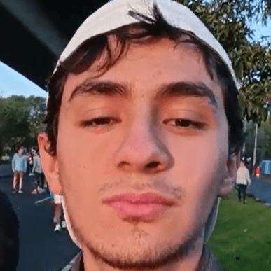 Github Benito Camarillo Dogenetwork V4 - Minimal Picture Collection - Desktop Quality