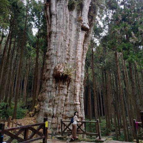 Ts Tanya Dmno Github - Colorful Textures - Incredible 4K Collection