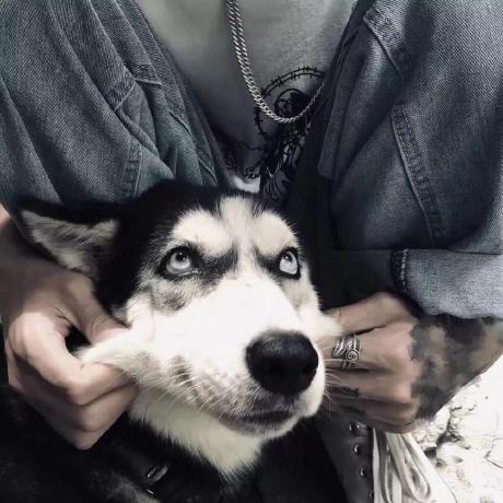 Github Lxxxxx Oss Wineshop - Premium City Design Gallery - High Resolution