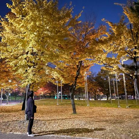 Crud0626 Crud0626 Github - Premium Space Art Gallery - Ultra HD