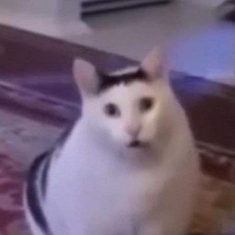 Mor Gol Mor Github - Ocean Arts - Beautiful 8K Collection