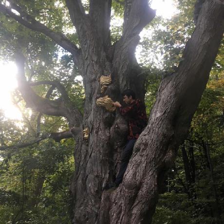 Benhoffman1 Ben Hoffman Github - Incredible 4K Light Arts | Free Download