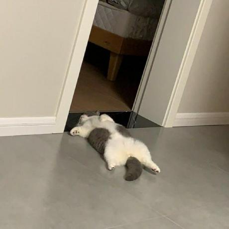 Aurelien2247 Aure Lien Github - Premium City Design Gallery - Ultra HD