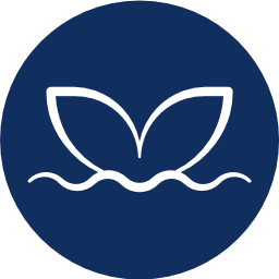 Mersmv Mer Github - Best Space Textures in Mobile