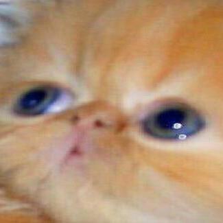 Peltorator Egor Gorbachev Github - City Wallpapers - Classic Mobile Collection