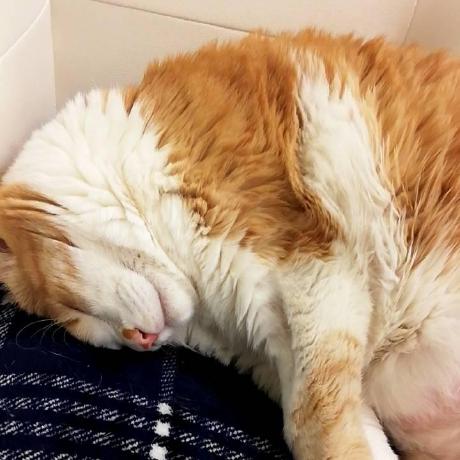 Pot 8 Os Sho Github - City Images - Creative 4K Collection