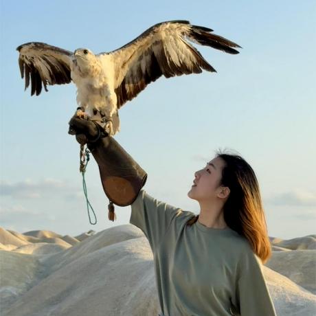 Bellaroses Bella Github - Best Dark Designs in Retina