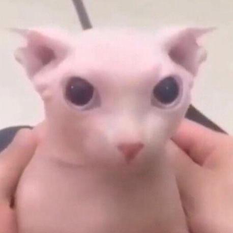 Mradhitama Adhitama Chandra Github - Artistic Desktop Landscape Arts | Free Download