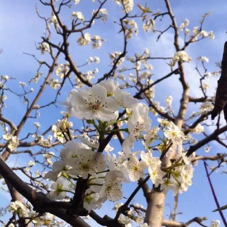 Gu Yaowen Yaowen Gu Github - Premium Dark Pattern Gallery - HD