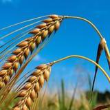 Github Alohaworld Cppkid Source Codes For My Mooc Examples - Perfect Full HD Vintage Arts | Free Download