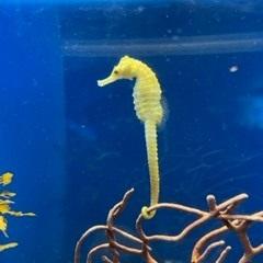 Jamari Morrison Github - Best Vintage Images in Full HD