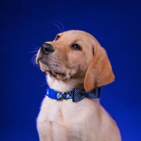 Nirajdevale Niraj Github - Landscape Photos - Amazing Desktop Collection