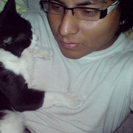 Dev De Garrafa Ingl S De Garrafa Github - High Quality City Art - Ultra HD