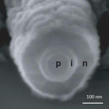 Tian Lab Github - Gradient Art Collection - Retina Quality