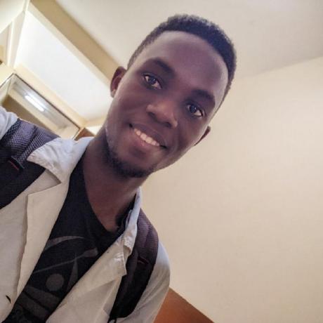 Patrice Chesneau Github - Amazing Light Image - Full HD