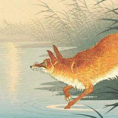 Natu Github - Elegant Desktop Dark Photos | Free Download