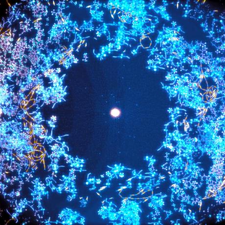 Releases Chrxh Alien Github - Geometric Pictures - Premium Desktop Collection