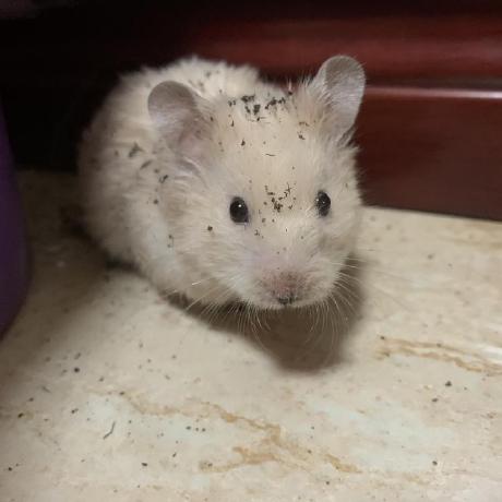 Donglixp Li Dong Github - Best Abstract Arts in Full HD