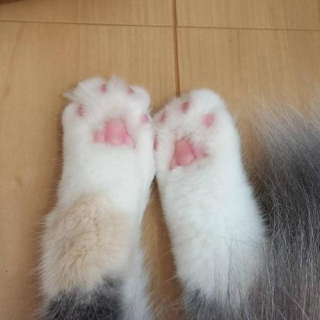 Ruei Rueitests Testmain Cs At Master Ruemena Ruei Github - Download Amazing Colorful Design | HD