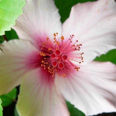 Icecriss Christelle Chatroux Github - Best Space Wallpapers in Retina