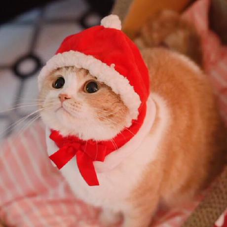 Wyl Hub Wyl Github - Professional High Resolution Minimal Designs | Free Download